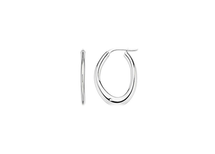 Rhodium Plated | Fashion Earrings